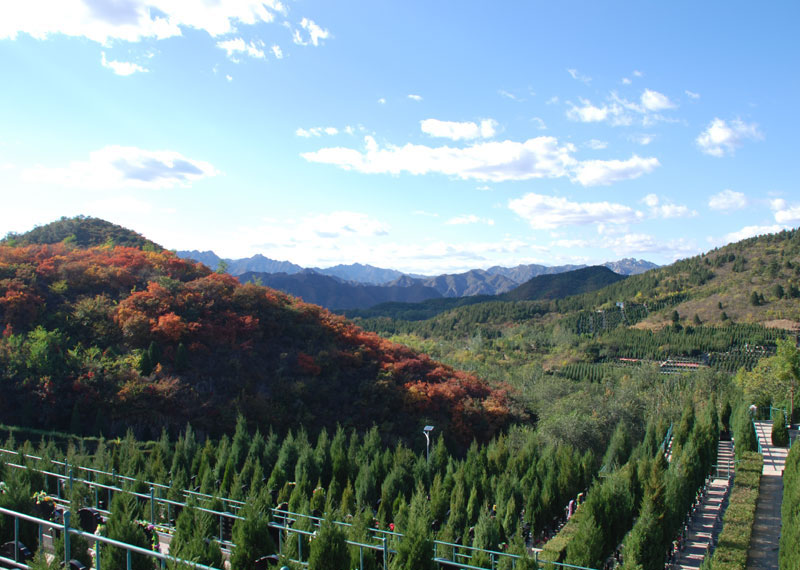 景仰园的资料可以在哪里查阅 （景仰园风水好吗）